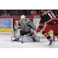 San Antonio Rampage goaltender Evan Fitzpatrick denies Grand Rapids Griffins forward Axel Holmstrom