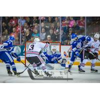 Niagara IceDogs centre Ben Jones pressures the Sudbury Wolves