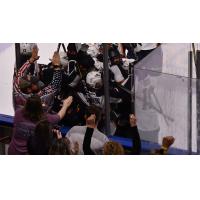 Fans celebrate a win with the Greenville Swamp Rabbits