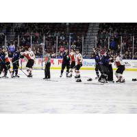 Utah Grizzlies square off with the Kansas City Mavericks