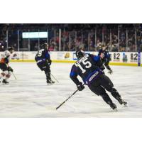 Ryan Walters of the Utah Grizzlies