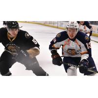 Greenville Swamp Rabbits forward Kamerin Nault (right) vs. the Newfoundland Growlers