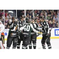 Utah Grizzlies celebrate a goal against the Kansas City Mavericks
