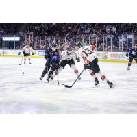 Utah Grizzlies center Josh Dickinson races for the puck against the Kansas City Mavericks