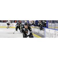 Utah Grizzlies center Josh Dickinson