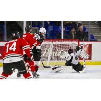 Vancouver Giants goaltender David Tendeck makes a save against the Portland Winterhawks