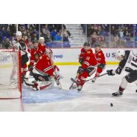 Vancouver Giants left wing Owen Hardy takes a shot against the Portland Winterhawks
