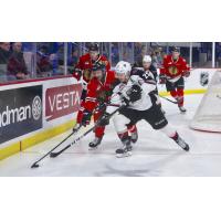 Vancouver Giants right wing Jared Dmytriw against the Portland Winterhawks