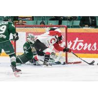Prince George Cougars test Everett Silvertips goaltender Dustin Wolf