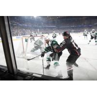 Texas Stars battle the Chicago Wolves