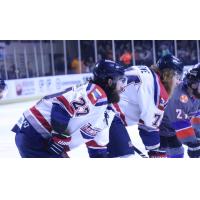 Evansville Thunderbolts defenseman Frank Schumacher