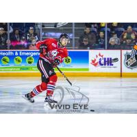 Niagara IceDogs defenceman Hayden Davis