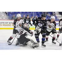 Vancouver Giants goaltender David Tendeck Keeps an eye on the Victoria Royals
