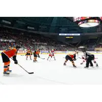 Lehigh Valley Phantoms face off with the Charlotte Checkers