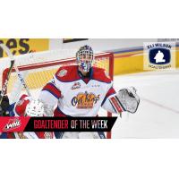 Edmonton Oil Kings goaltender Dylan Myskiw