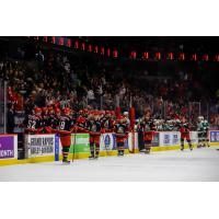 Grand Rapids Griffins exchange congratulations