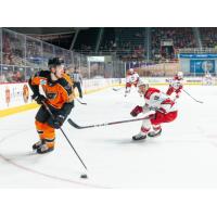 Lehigh Valley Phantoms center Mikhail Vorobyev vs. the Charlotte Checkers