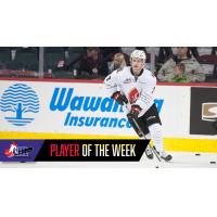 Moose Jaw Warriors forward Brayden Tracey