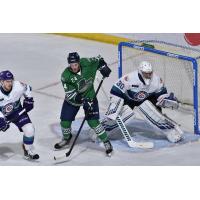 Florida Everblades right wing Philippe Hudon vs. the Orlando Solar Bears