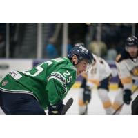 Florida Everblades forward John McCarron