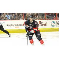 Cincinnati Cyclones defenseman Eric Knodel