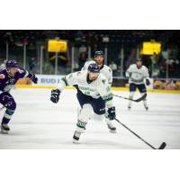 Florida Everblades right wing Nathan Perkovich vs. the Orlando Solar Bears