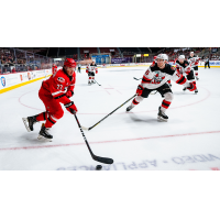 Binghamton Devils defenseman Desmond Bergin (right) against the Charlotte Checkers