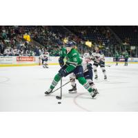 Florida Everblades forward Steven Lorentz