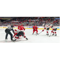 Binghamton Devils face off against the Charlotte Checkers