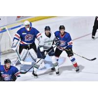 Florida Everblades right wing Nathan Perkovich (center) surrounded by the Orlando Solar Bears