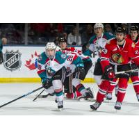 Kelowna Rockets right wing Liam Kindree vs. the Portland Winterhawks
