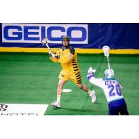 GEICO dasher at a Georgia Swarm game