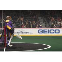 GEICO dasher at an NLL game