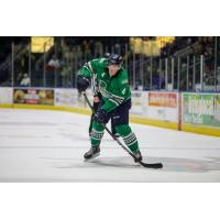 Florida Everblades defenseman Matt Finn
