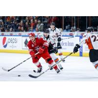 Dante Salituro of the Allen Americans vs. the Kansas City Mavericks