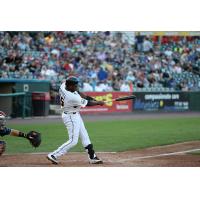 York Revolution outfielder Welington Dotel