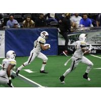 Tucson Sugar Skulls defensive back Dee Maggitt Jr.