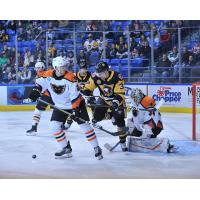 Lehigh Valley Phantoms vs. the Wilkes-Barre/Scranton Penguins
