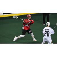 Forward Chris Boushy with the Calgary Roughnecks