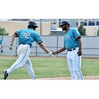 Rochester Honkers in action