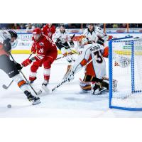 Allen Americans forward Spencer Asuchak vs. the Kansas City Mavericks