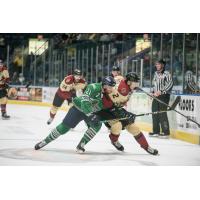 Florida Everblades left wing Tommy Thompson