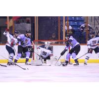 Macon Mayhem goaltender Ian Sylves holds off the Fayetteville Marksmen