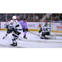 Adirondack Thunder Dylan Walchuk (purple) takes a shot against the Manchester Monarchs