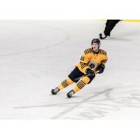 Norfolk Admirals defenseman Brandon Rumble