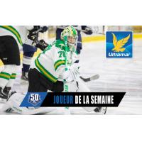 Val-d'Or Foreurs goaltender Jonathan Lemieux