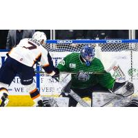 Adam Larkin of the Greenville Swamp Rabbits shoots against the Jacksonville IceMen