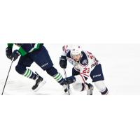 South Carolina Stingrays forward Patrick Megannety