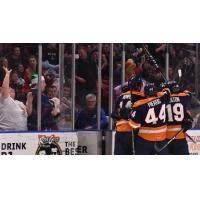 Greenville Swamp Rabbits celebrate a goal