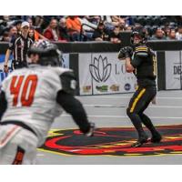 Tucson Sugar Skulls quarterback Matt Berhendt